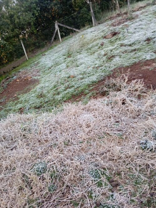 Fragosos-Conc�rdia