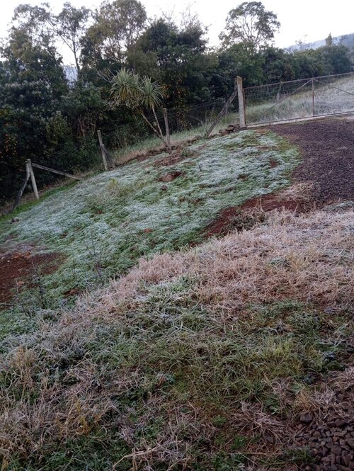 Fragosos-Conc�rdia